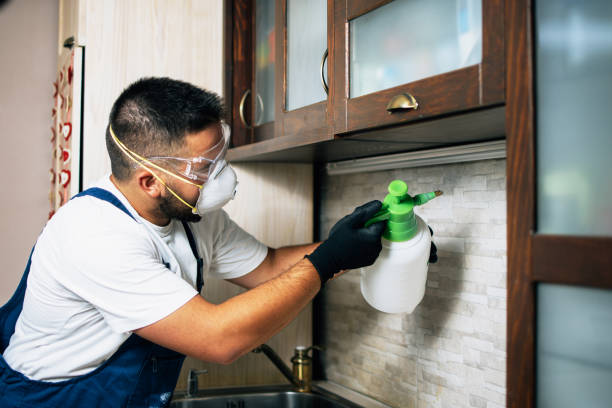 Best Pest Removal Services  in Huntington Station, NY