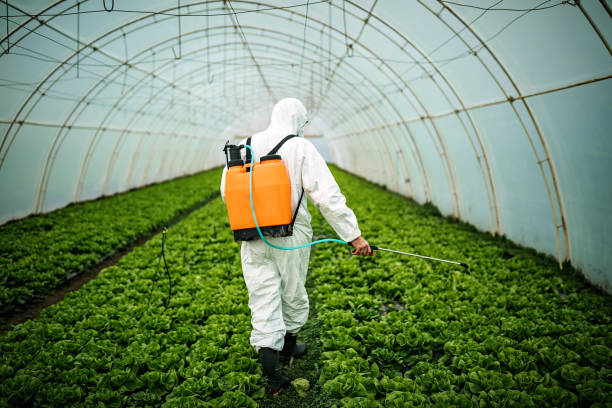 Best Ant Control Services  in Huntington Station, NY