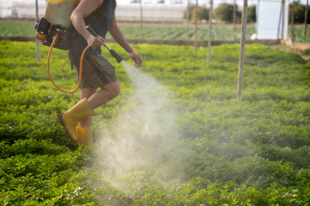 Best Pest Prevention Services  in Huntington Station, NY