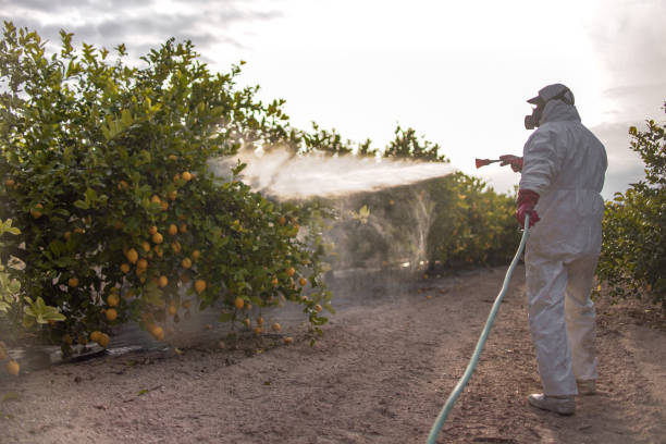 Best Wasp Removal Services  in Huntington Station, NY