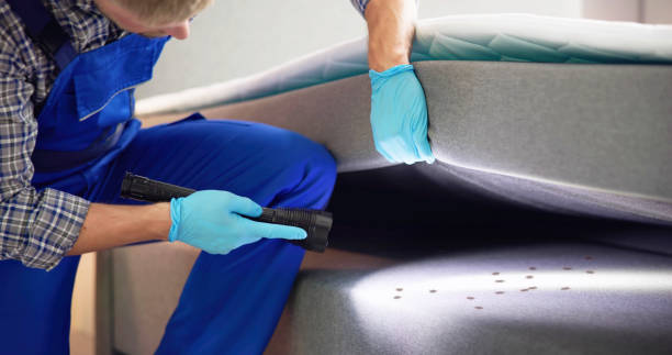 Best Best Pest Control Companies  in Huntington Station, NY