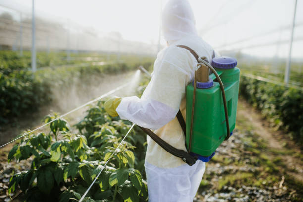 Best Pest Inspection Near Me  in Huntington Station, NY